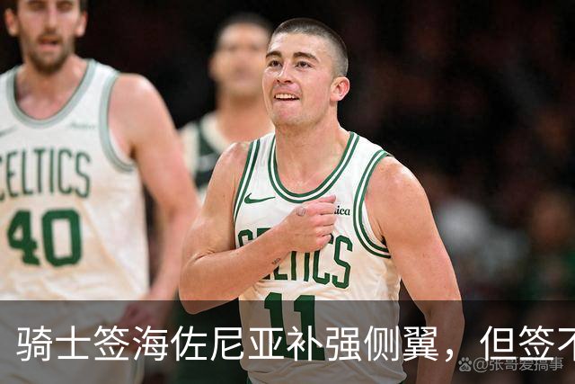 骑士签海佐尼亚补强侧翼，但签不下库明加就是失败